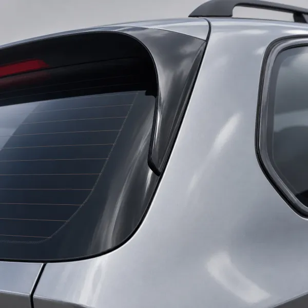 Плавники під заднє скло BMW X5 E70